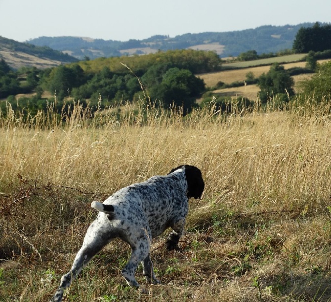 Des Sucs Du Velay - TEST APTITUDE NATURELLE NOGUES 2015